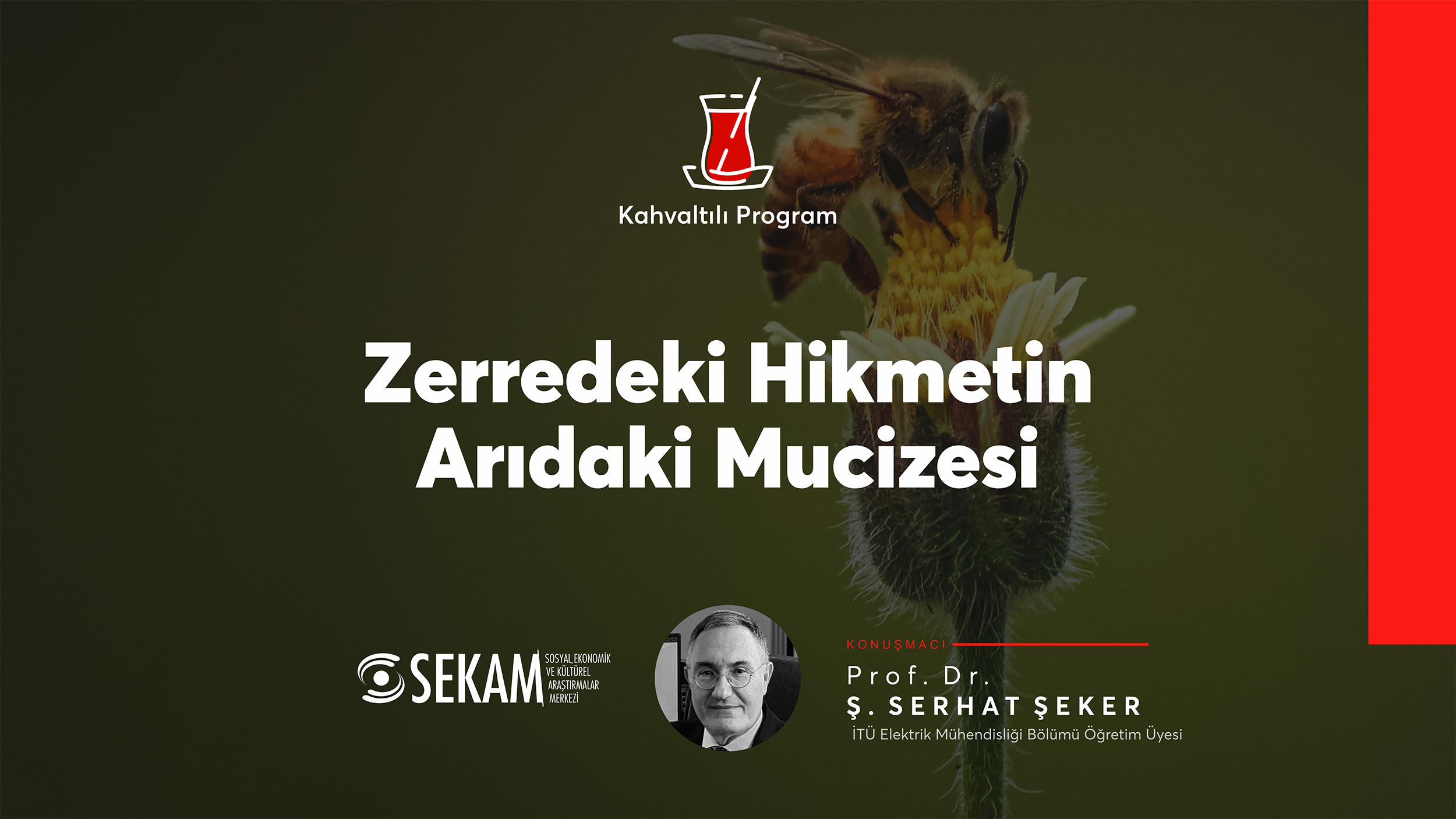 Zerredeki Hikmetin Arıdaki Mucizesi